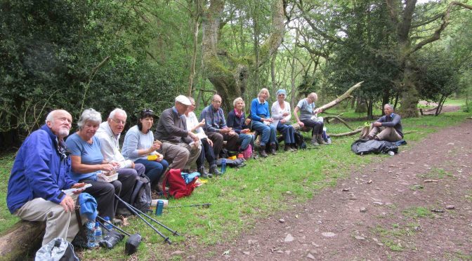 WEEKEND OF SUMMER WALKING PLANNED FOR QUANTOCK HILLS NOW OPEN FOR BOOKINGS