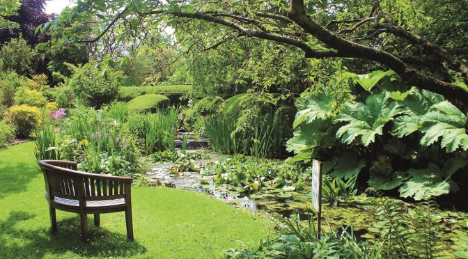 GLORIOUS SOMERSET GARDENS OPEN TO HELP ST MARGARET’S HOSPICE