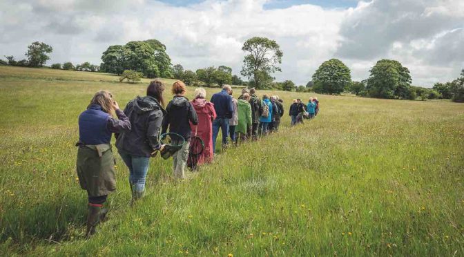Somerset Wildlife Trust: Somerset Nature Connections project